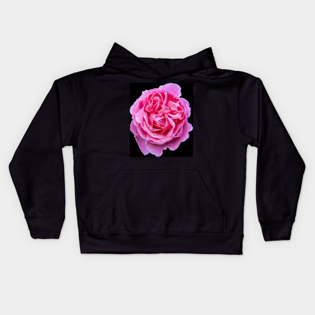 Small Pink Rose Blooms on a black background Kids Hoodie by Russell102